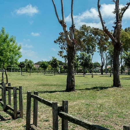 Alloggio Per Uso Turistico Villa Lido dei Pini Buitenkant foto
