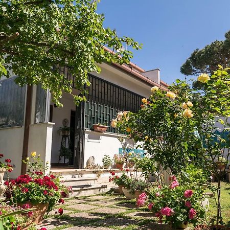 Alloggio Per Uso Turistico Villa Lido dei Pini Buitenkant foto